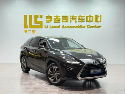 2016 Lexus RX 300 4WD Elegance Edition (China V), фото 3, лот 10313506