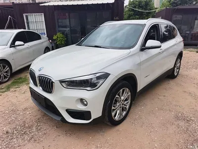 2018 BMW X1 sDrive20Li Leading Model, фото 1, лот 10467951