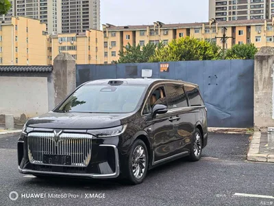 2025 Voyah Auto Voyah Dreamer PHEV AWD Flagship Qian Kun Edition, фото 1, лот 10358039