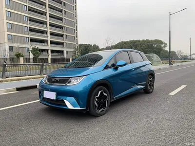 2021 BYD Dolphin Model 405km Fashion Edition, фото 2, лот 10264559