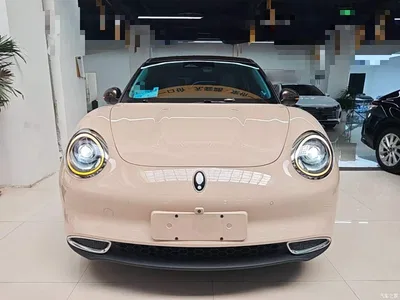 2021 Ora Good Cat 500km Long Range Poseidon Edition (NMC), фото 3, лот 10330513