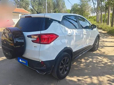 2019 BYD Yuan New Energy EV535 Smart Connected Trend Leader Type, фото 3, лот 10273878