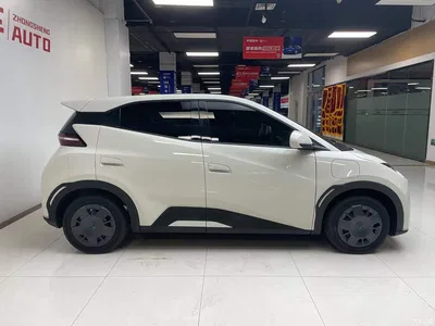 2024 BYD Seagull Glory Edition 305km Vitality Edition, фото 3, лот 10245402