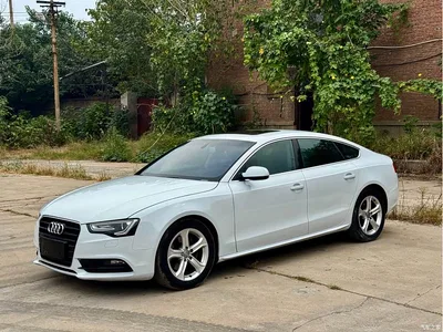 2013 Audi A5 (Import) Sportback 40 TFSI, фото 1, лот 11137024