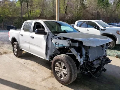 2025 FORD RANGER XL, фото 4, лот 10559211