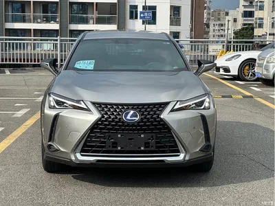 2020 Lexus UX 260h Explore Cool Edition China V, фото 2, лот 11214882