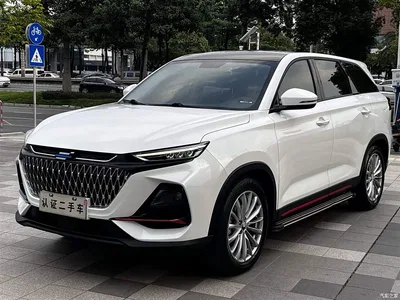 2022 Changan Oshan X7 PLUS 1.5T Blue Whale Edition Auto Premium, фото 3, лот 10888855