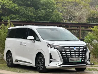 2022 Denza D9 DM-i 970 All-Wheel Drive Honor Edition, фото 3, лот 10351021
