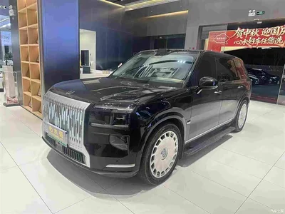 2025 ZEEKR 9X Standard Edition, фото 1, лот 11223364