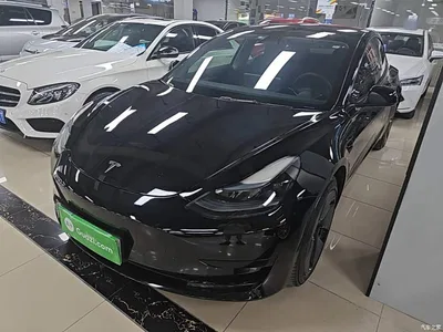 2022 Tesla Model 3 Model Rear-Wheel Drive Version, фото 1, лот 11218265