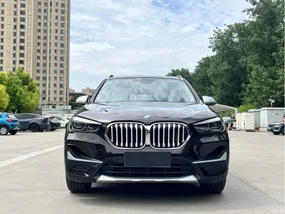 2021 BMW X1 xDrive25Li Exclusive, фото 2, лот 10432064