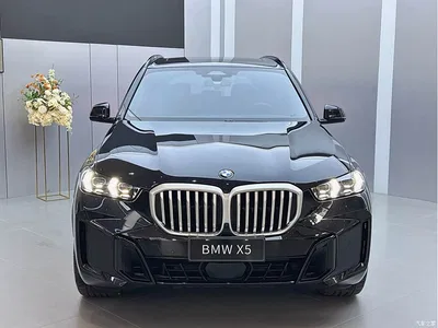 2023 BMW X5 xDrive 40Li M Sport Black Night Package, фото 2, лот 10462642