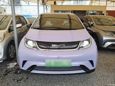 2023 BYD Dolphin 420km Freedom Edition, фото 3, лот 10259899