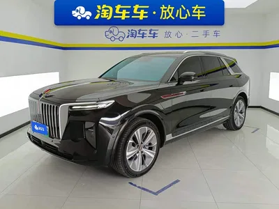 2021 Hongqi E-HS9 460km Flagship Comfort 6-seater, фото 1, лот 10287407