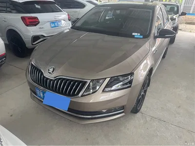 2019 Škoda Octavia TSI280 DSG Smart Luxury Edition China V, фото 1, лот 10348752