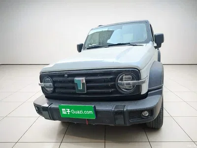 2021 Tank 300 Off-road Version 2.0T Conqueror, фото 2, лот 10993665