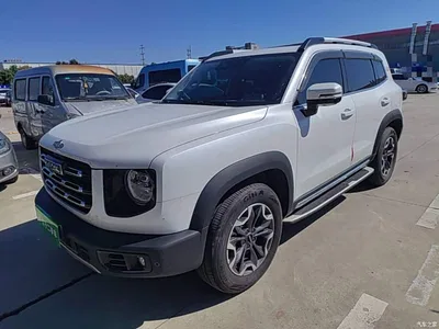 2021 Haval Big Dog 2.0T DCT 4WD Chinese Rural Dog Edition, фото 1, лот 11545769