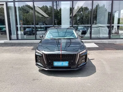 2023 Hongqi H5 2.0T Auto Smart Connect Flag Comfort, фото 2, лот 10288571