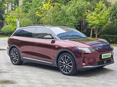 2021 Leapmotor C11 Luxury Edition, фото 2, лот 10769037