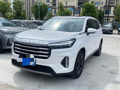 2021 Exeed Landmark 390T 2WD Starlight Edition, фото 1, лот 10454042