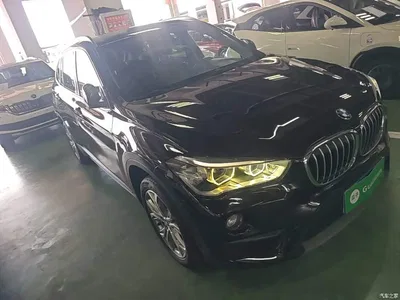 2018 BMW X1 sDrive20Li Leading Model, фото 4, лот 10467268