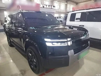 2025 Byd Titanium 7 AWD Base Model, фото 4, лот 10821669