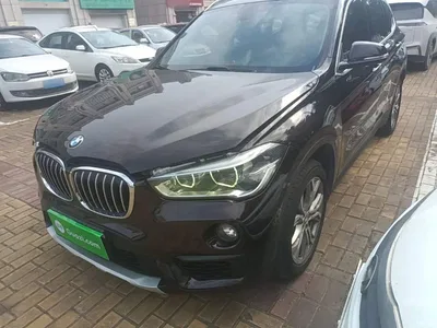 2018 BMW X1 sDrive20Li Leading Model, фото 1, лот 10467896