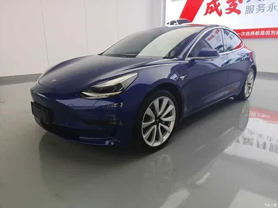 2020 Tesla Model 3 Standard Range Rear-Wheel Drive Upgrade, фото 1, лот 10401747