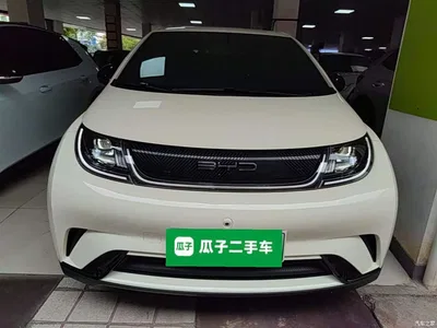2023 BYD Dolphin 420km Freedom Edition, фото 3, лот 10264403