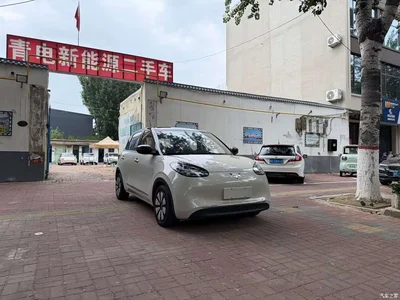 2024 Wuling Motors Wuling Bingo 333km Comfort Edition, фото 3, лот 10367727