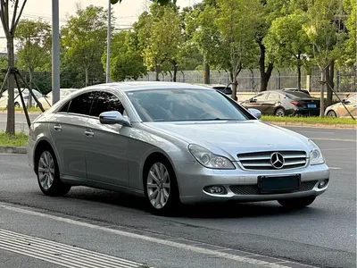 2009 Mercedes-Benz CLS 300, фото 4, лот 10298450