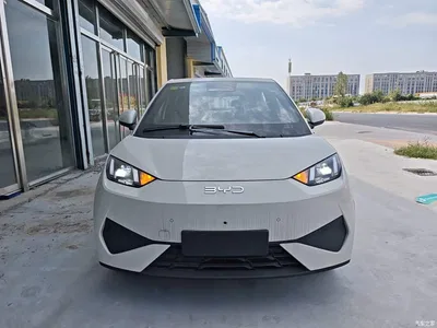 2025 BYD Seagull Smart Drive Edition 305km Freedom Version, фото 3, лот 10667537