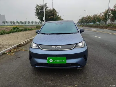 2025 BYD Dolphin Smart Drive Edition 410km Fashion Version, фото 3, лот 11177721