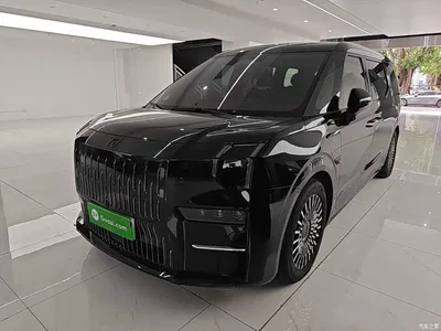 2022 ZEEKR 009 WE Edition, фото 1, лот 10292148