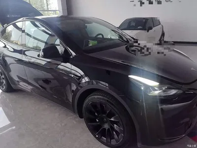 2022 Tesla Model Y Facelift Rear-Wheel Drive Version, фото 4, лот 10838221