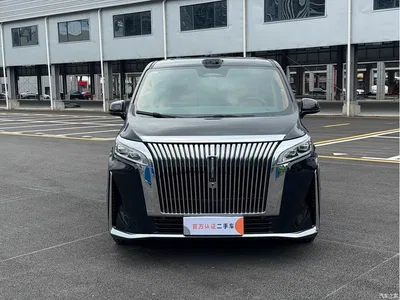 2025 WEY Alpine AWD Alpine 9, фото 2, лот 10834036