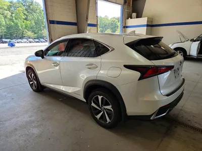 2020 LEXUS NX 300H, фото 2, лот 10848401