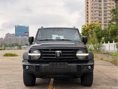 2024 Tank 300 Model 2.0T Challenger, фото 2, лот 10344439