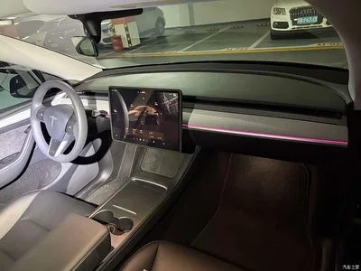 2023 Tesla Model Y Rear-Wheel Drive Edition, фото 4, лот 10594085