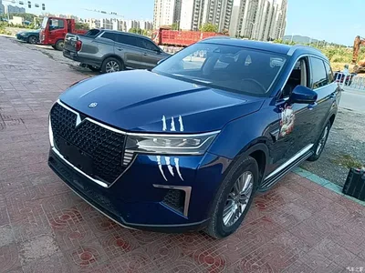 2021 Venucia Star 260T Auto 48V Mild Hybrid Star Edition, фото 2, лот 11218708