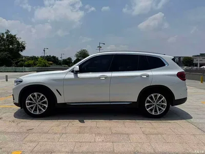 2019 BMW X3 xDrive25i Luxury Package, фото 4, лот 10461093