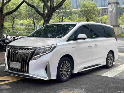 2021 GAC Trumpchi Trumpchi M8 Master Series 390T Ultimate Edition, фото 1, лот 10393414