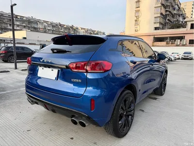2017 WEY VV5 2.0T Flagship Model, фото 4, лот 10452029