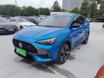2021 MG Pilot 300TGI Auto 2WD Trophy Intelligent Premium Edition, фото 2, лот 10766098