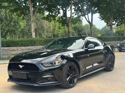 2016 Ford Mustang 2.3T Performance Edition, фото 1, лот 10280485