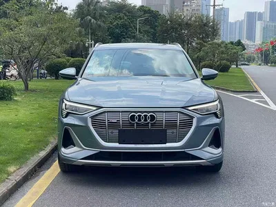 2021 Audi e-tron 50 quattro Exclusive Selection, фото 2, лот 11184182