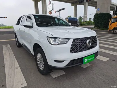 2019 Great Wall Pao 2.0T Commercial Version Manual Diesel 2WD Elite Long Box GW4D20M, фото 4, лот 10248965
