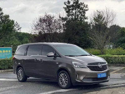 2021 Buick GL8 Land Business Class 652T Comfort, фото 4, лот 10253562