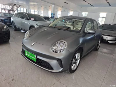2025 Ora Good Cat 430km Honor Edition, фото 1, лот 11565113