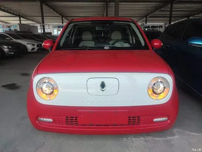 2021 Ora Black Cat 351km Luxury Model, фото 4, лот 10839674